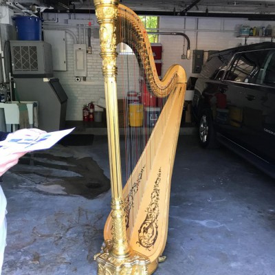 Healing The Harp